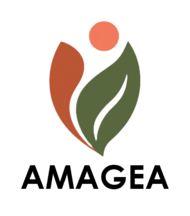 amagea.ar